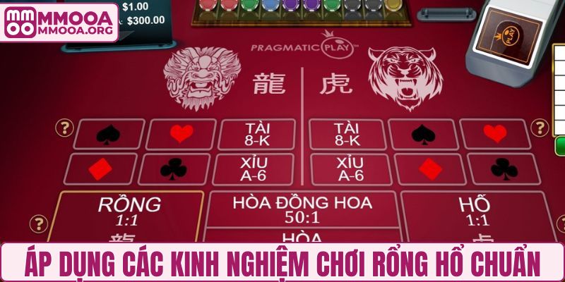Áp dụng các kinh nghiệm chơi Rổng Hổ chuẩn từ chuyên gia