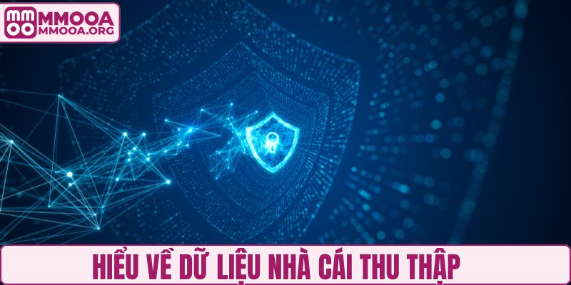 Hiểu về dữ liệu nhà cái thu thập