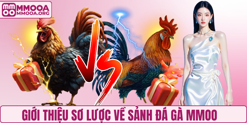 Giới thiệu sơ lược về sảnh đá gà MMOO