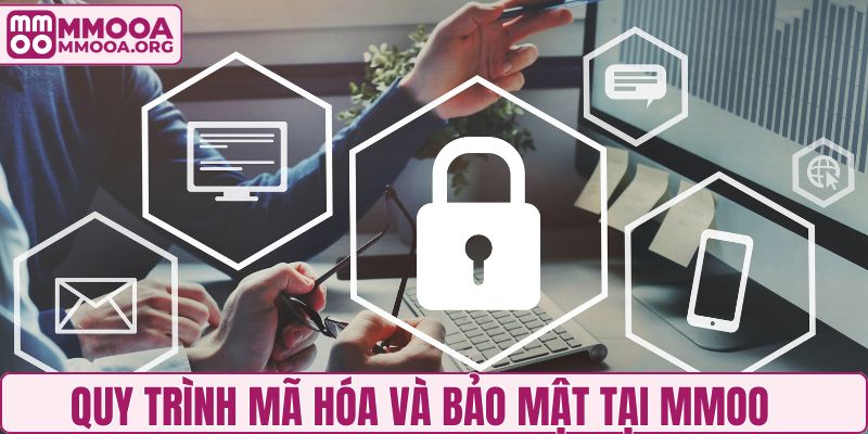 Quy trình mã hóa và bảo mật tại MMOO