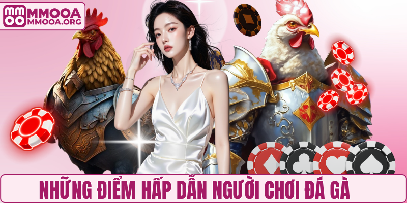 Những điểm hấp dẫn người chơi đá gà