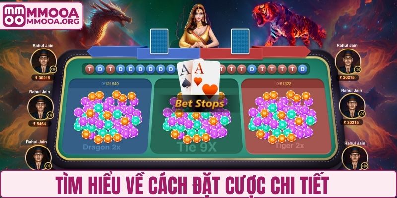 Tìm hiểu về cách đặt cược chi tiết
